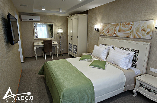 Double room “DOUBLE SUPERIOR”  