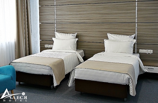 Однокомнатный номер Твин