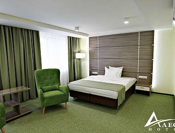 One-room apartment “STANDART” 